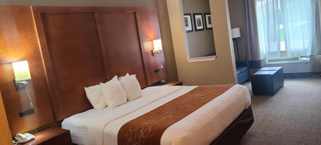 Comfort Suites Ню Браунфелс Екстериор снимка