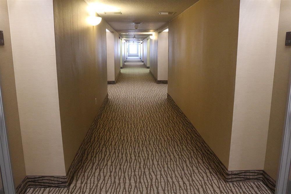 Comfort Suites Ню Браунфелс Екстериор снимка