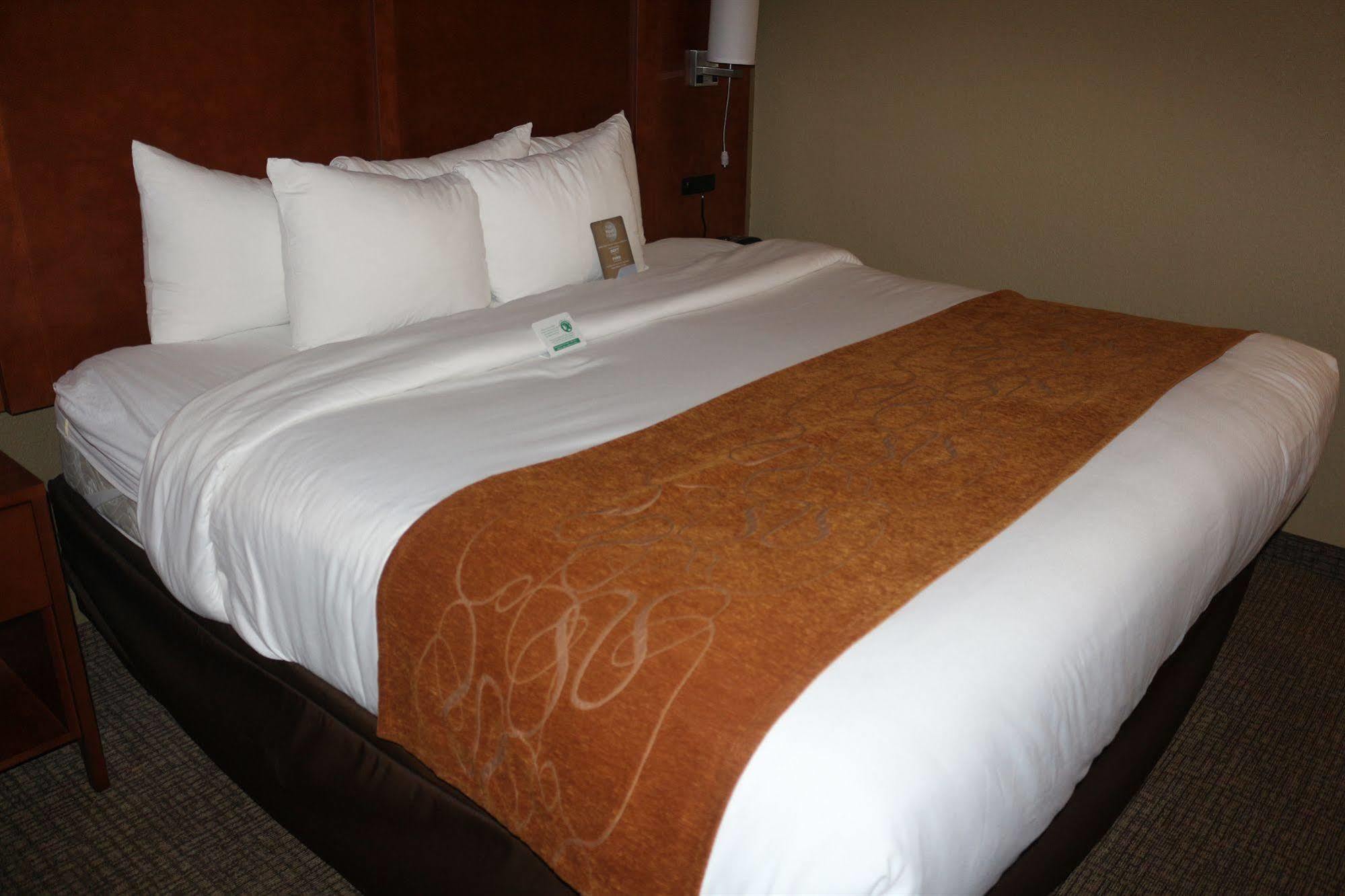 Comfort Suites Ню Браунфелс Екстериор снимка
